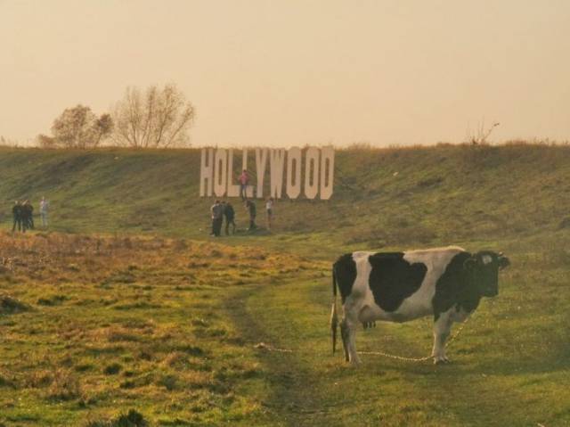 daily picdump 97 pics 37.html - 97 HD Photos | Premium Gallery 2017