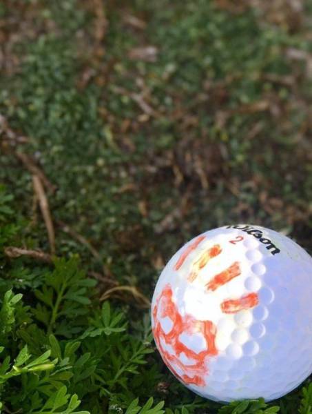 daily picdump 97 pics 37.html - 97 HD Photos | Premium Gallery 2017