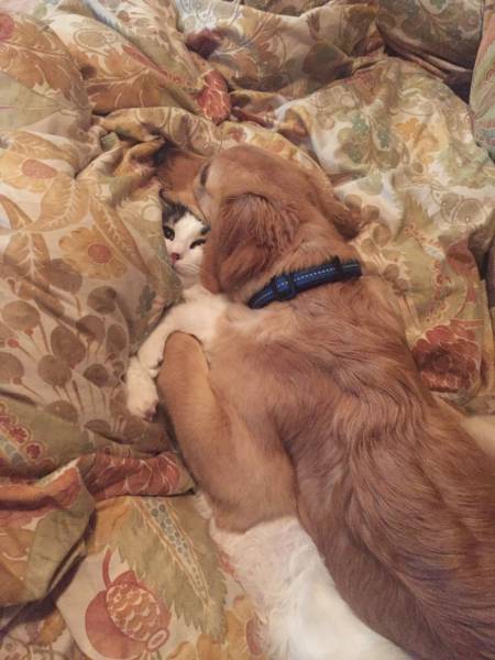 daily picdump 97 pics 37.html - 97 HD Photos | Premium Gallery 2017