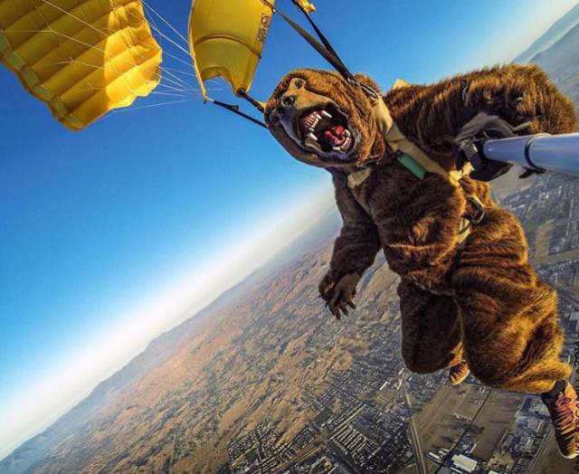 daily picdump 97 pics 37.html - 97 HD Photos | Premium Gallery 2017