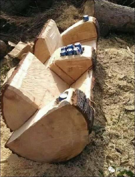 daily picdump 97 pics 37.html - 97 HD Photos | Premium Gallery 2017