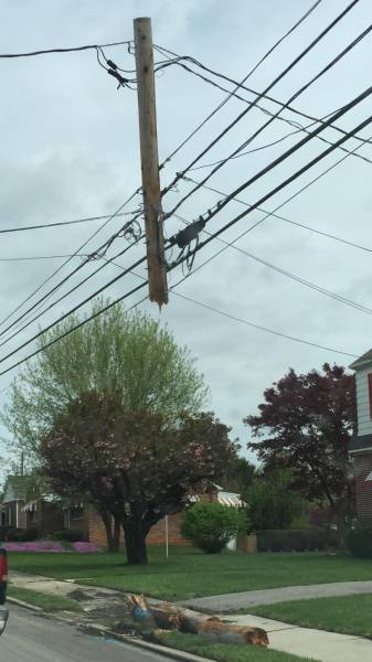 daily picdump 97 pics 37.html - 97 HD Photos | Premium Gallery 2017