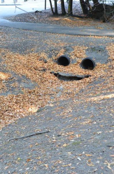 daily picdump 97 pics 37.html - 97 HD Photos | Premium Gallery 2017