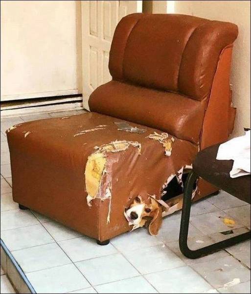 daily picdump 97 pics 37.html - 97 HD Photos | Premium Gallery 2017