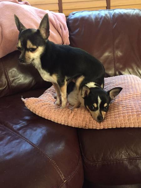 daily picdump 97 pics 37.html - 97 HD Photos | Premium Gallery 2017