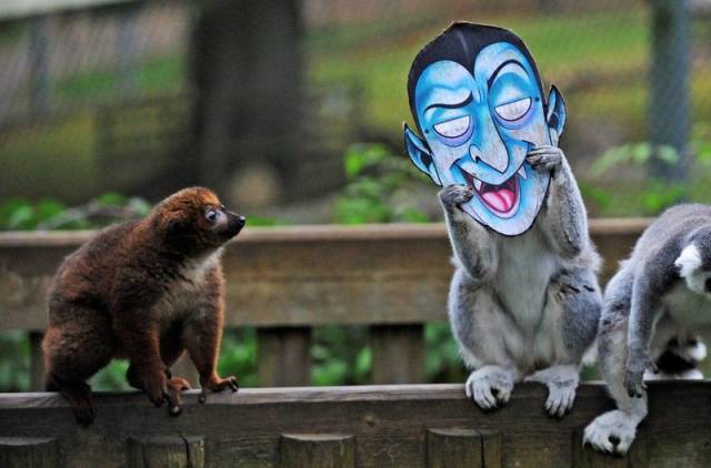 daily picdump 97 pics 37.html - 97 HD Photos | Premium Gallery 2017