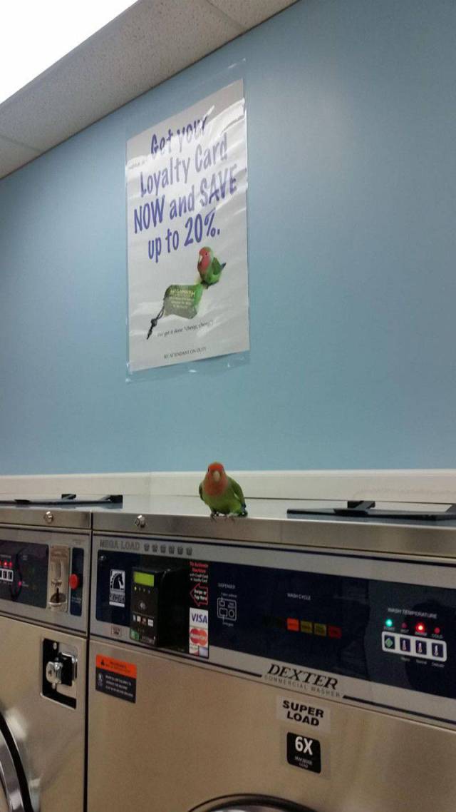 daily picdump 97 pics 37.html - 97 HD Photos | Premium Gallery 2017