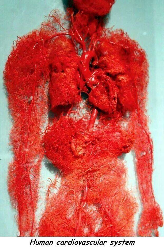 daily picdump 97 pics 37.html - 97 HD Photos | Premium Gallery 2017