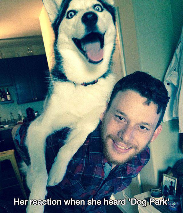 daily picdump 97 pics 37.html - 97 HD Photos | Premium Gallery 2017