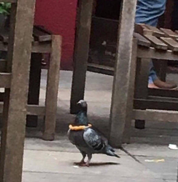 Daily Picdump [WEEKEND EDITION]