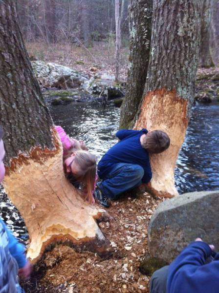 Daily Picdump [WEEKEND EDITION]