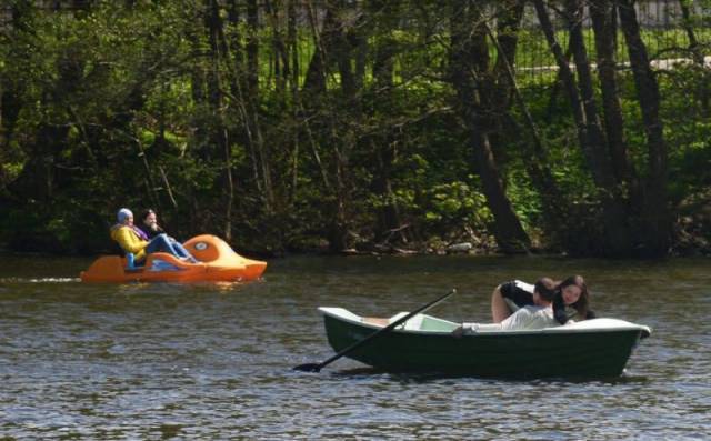 Daily Picdump [WEEKEND EDITION]