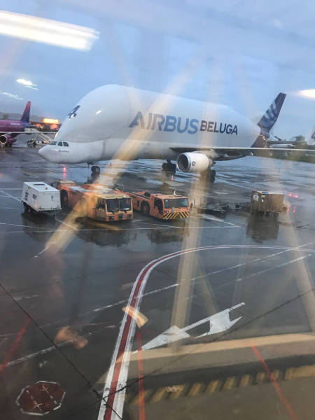 Daily Picdump [WEEKEND EDITION]