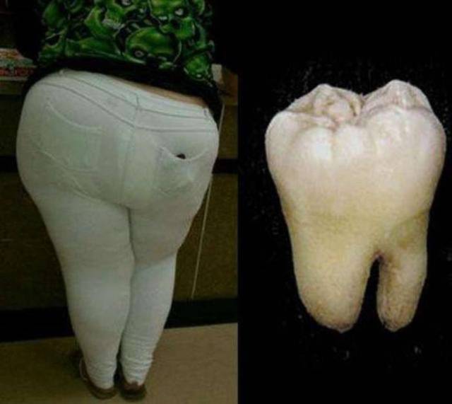 daily picdump weekend edition 51 pics 3.html - 51 HD Photos | Premium Gallery 2017