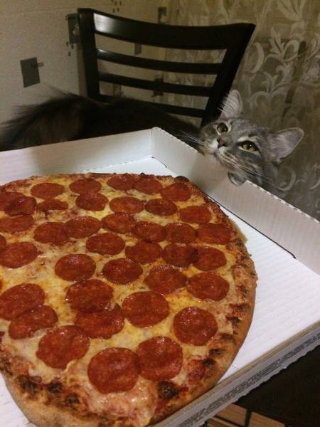 daily picdump 104 pics 43.html - 104 HD Photos | Premium Gallery 2017