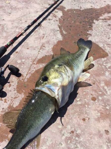 daily picdump 104 pics 43.html - 104 HD Photos | Premium Gallery 2017