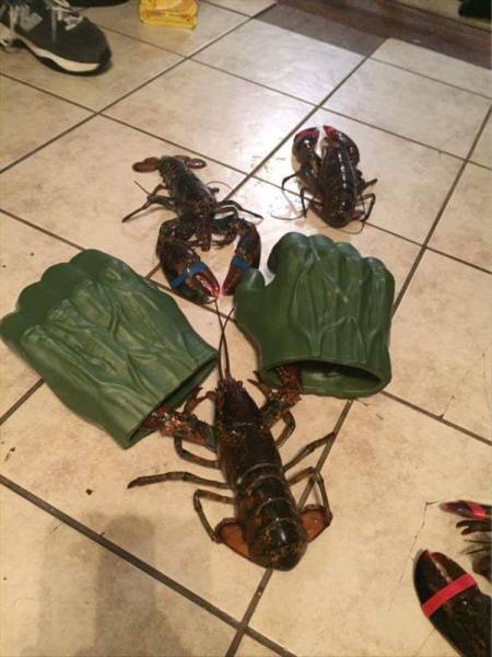 daily picdump 104 pics 43.html - 104 HD Photos | Premium Gallery 2017