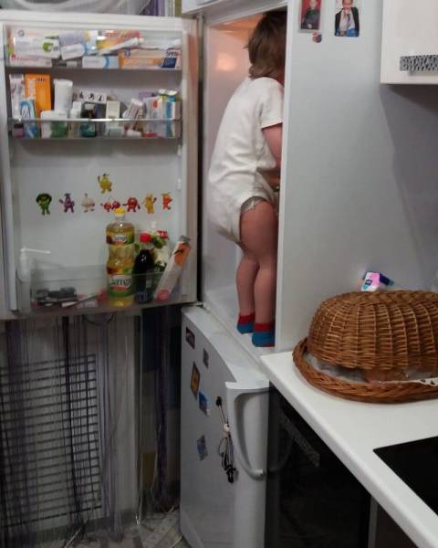 daily picdump 104 pics 43.html - 104 HD Photos | Premium Gallery 2017