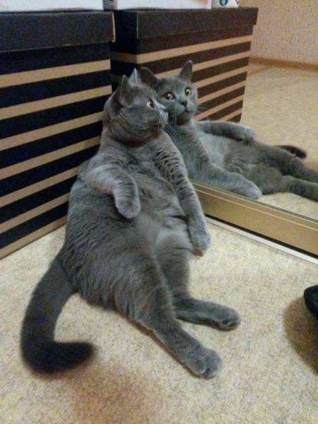 daily picdump 104 pics 43.html - 104 HD Photos | Premium Gallery 2017