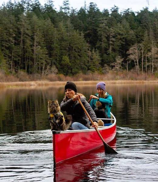 daily picdump 104 pics 43.html - 104 HD Photos | Premium Gallery 2017