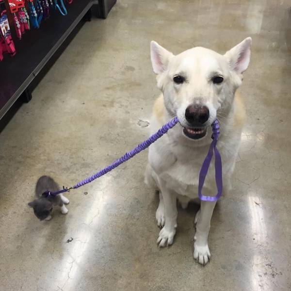 daily picdump 104 pics 43.html - 104 HD Photos | Premium Gallery 2017