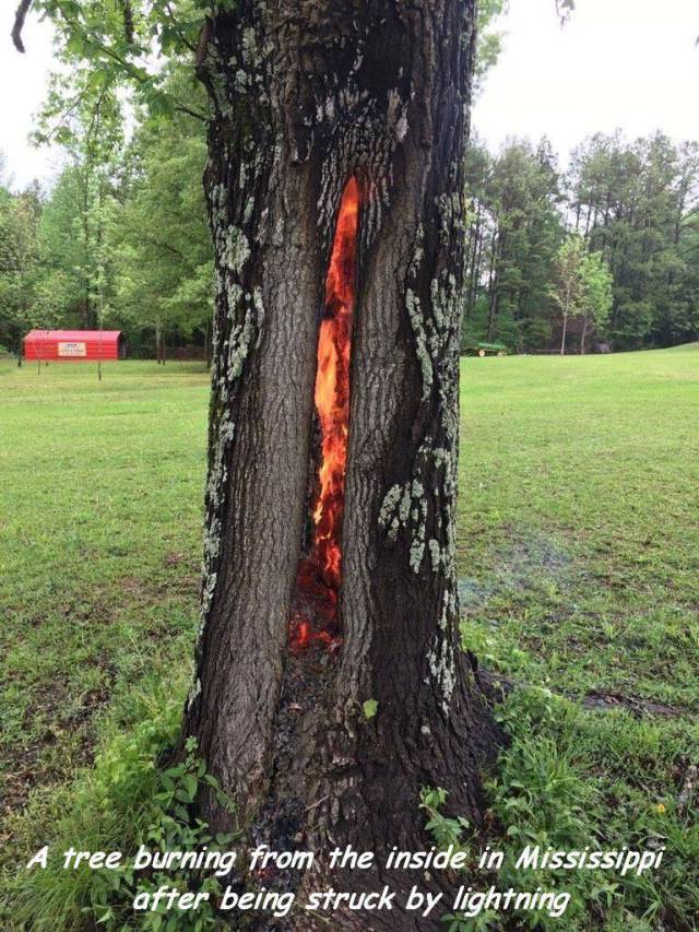 daily picdump 104 pics 43.html - 104 HD Photos | Premium Gallery 2017