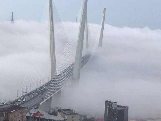 daily picdump 106 pics 2.html - 106 HD Photos | Premium Gallery 2017