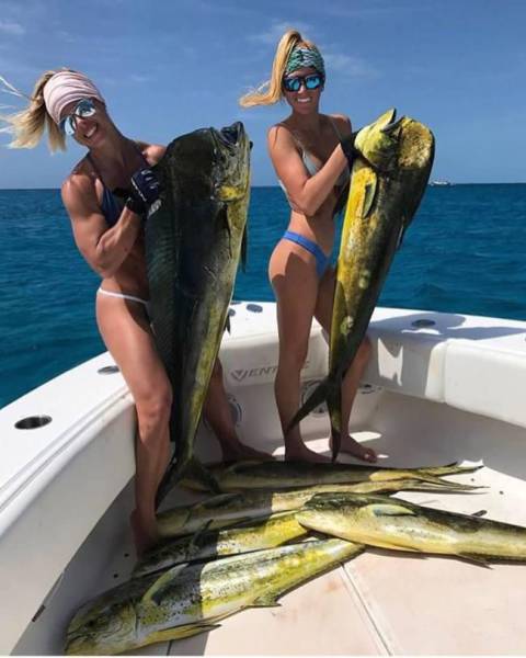 daily picdump 106 pics 2.html - 106 HD Photos | Premium Gallery 2017