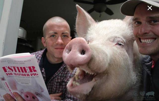 daily picdump 106 pics 2.html - 106 HD Photos | Premium Gallery 2017