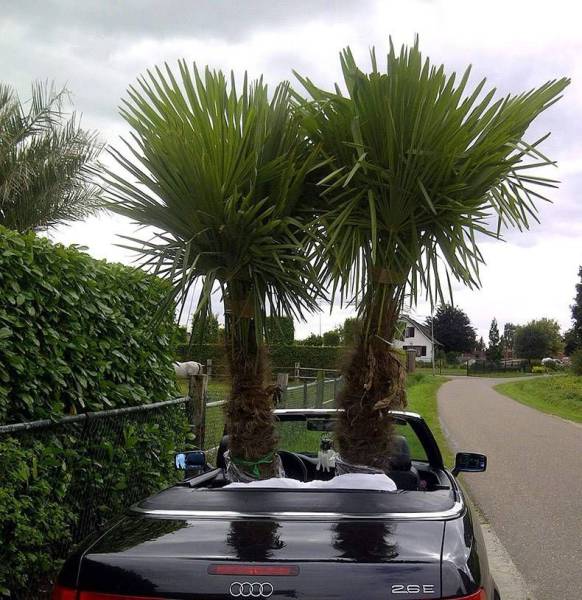 daily picdump 106 pics 2.html - 106 HD Photos | Premium Gallery 2017