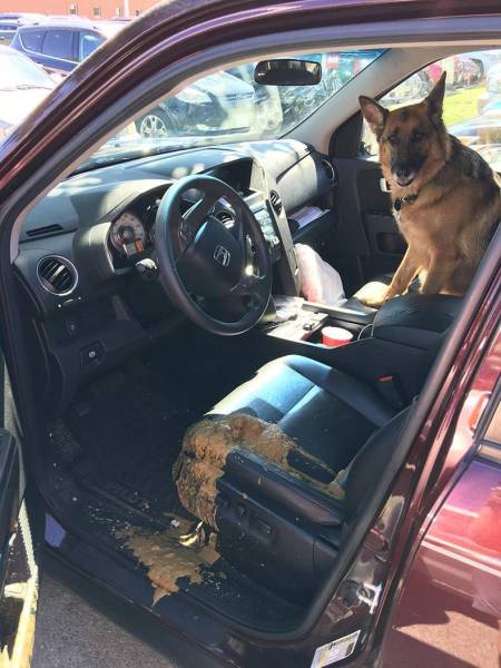 daily picdump 106 pics 2.html - 106 HD Photos | Premium Gallery 2017