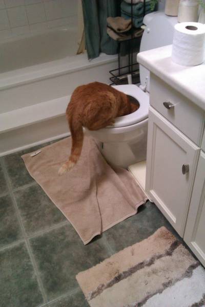 daily picdump 106 pics 2.html - 106 HD Photos | Premium Gallery 2017