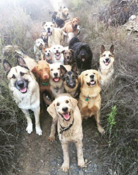 daily picdump 106 pics 2.html - 106 HD Photos | Premium Gallery 2017