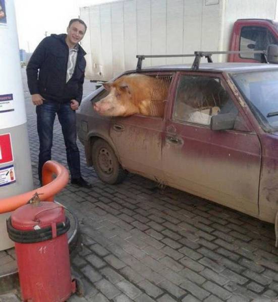 daily picdump 106 pics 2.html - 106 HD Photos | Premium Gallery 2017