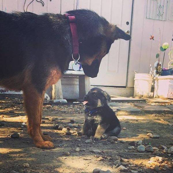 morning picdump 50 pics 2.html - 50 HD Photos | Premium Gallery 2017