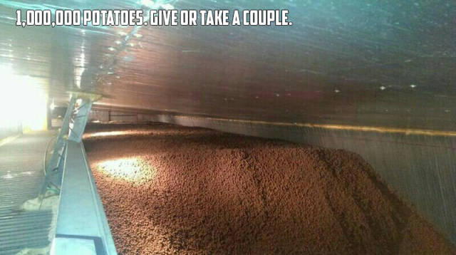 morning picdump 50 pics 2.html - 50 HD Photos | Premium Gallery 2017