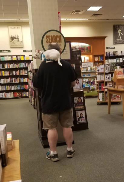 morning picdump 50 pics 2.html - 50 HD Photos | Premium Gallery 2017