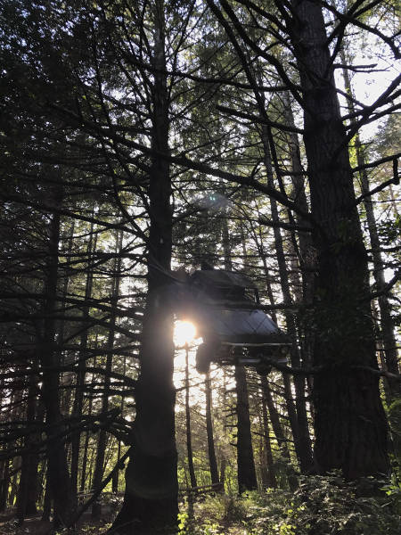 morning picdump 50 pics 2.html - 50 HD Photos | Premium Gallery 2017