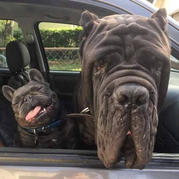 daily picdump 92 pics 20.html - 92 HD Photos | Premium Gallery 2017