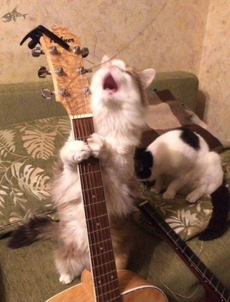 daily picdump 92 pics 20.html - 92 HD Photos | Premium Gallery 2017