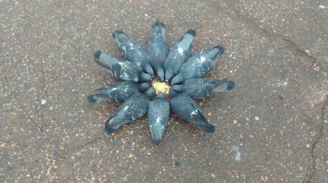 daily picdump 92 pics 20.html - 92 HD Photos | Premium Gallery 2017