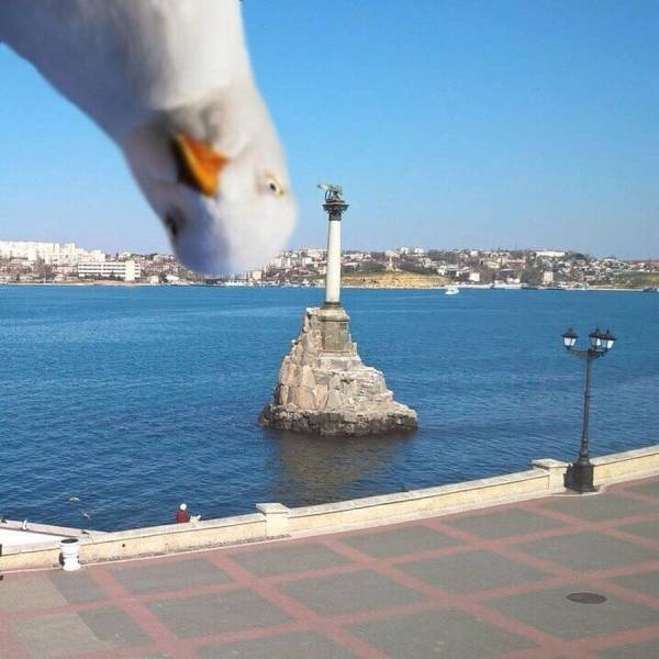 daily picdump 92 pics 20.html - 92 HD Photos | Premium Gallery 2017