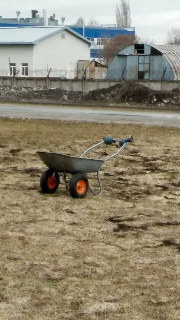 morning picdump 51 pics 14.html - 51 HD Photos | Premium Gallery 2017