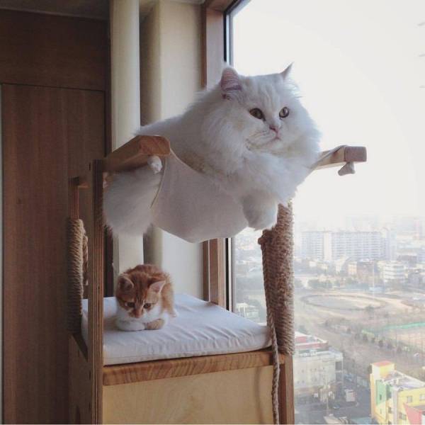 daily picdump 97 pics 16.html - 97 HD Photos | Premium Gallery 2017