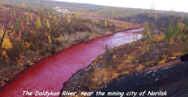 daily picdump 97 pics 16.html - 97 HD Photos | Premium Gallery 2017