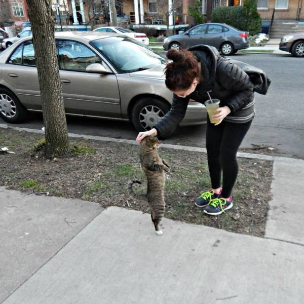 daily picdump 97 pics 16.html - 97 HD Photos | Premium Gallery 2017