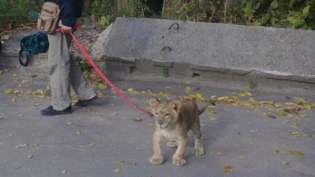 daily picdump 97 pics 16.html - 97 HD Photos | Premium Gallery 2017