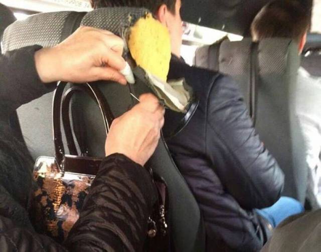 daily picdump 97 pics 16.html - 97 HD Photos | Premium Gallery 2017