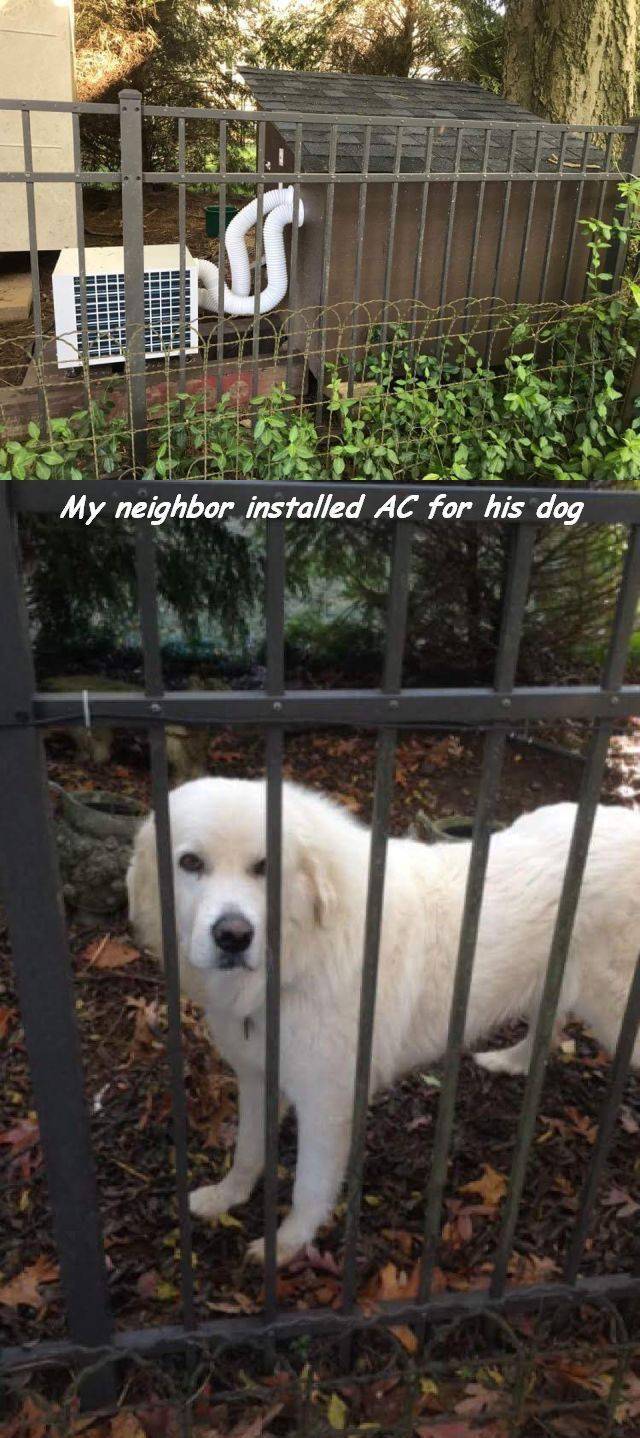 daily picdump 97 pics 16.html - 97 HD Photos | Premium Gallery 2017