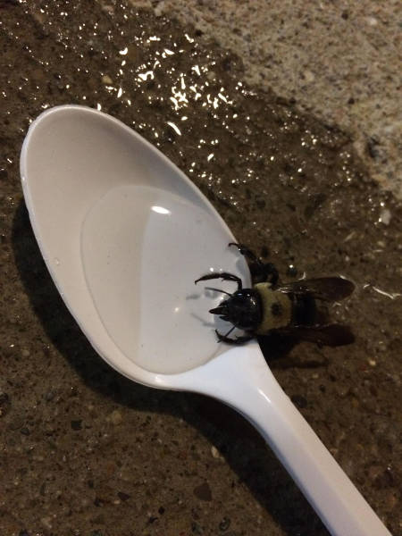 morning picdump 50 pics 19.html - 50 HD Photos | Premium Gallery 2017